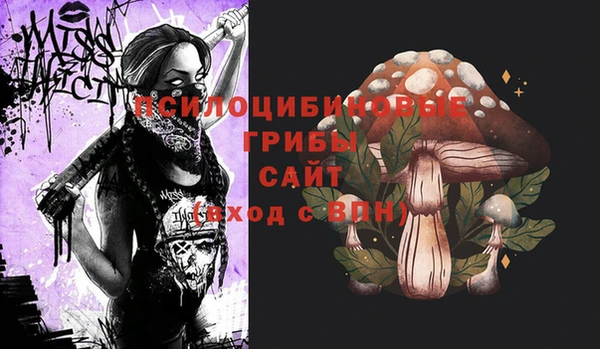 мет Аркадак